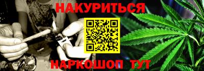 apvp Бийск
