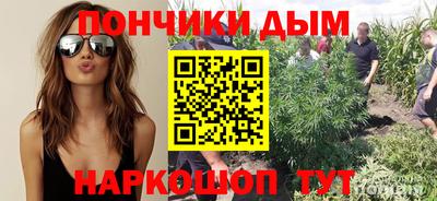 apvp Бийск